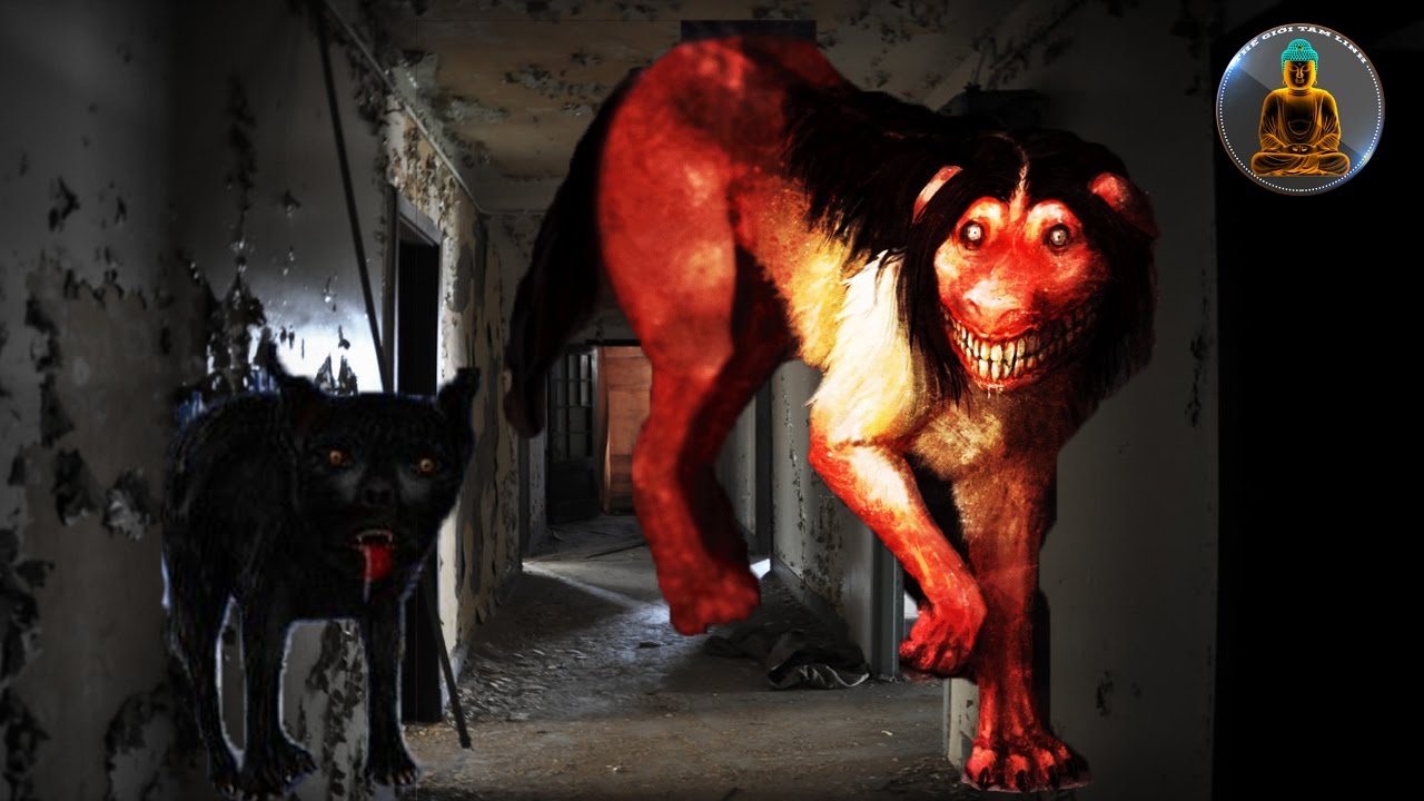 Chó của địa ngục